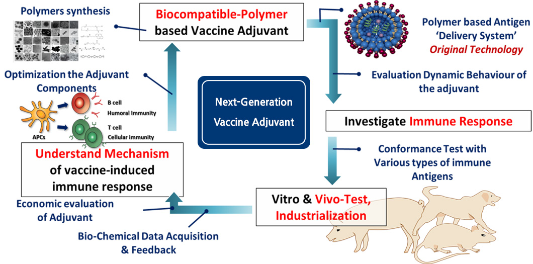 Development of  High Immunogenicity Polymer based  Vaccine Adjuvant and Study of Vaccine-induced Immunology
